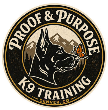 Proof & Purpose K9 Training Denver dog trainer for training foundations and all around great dogs for the real world